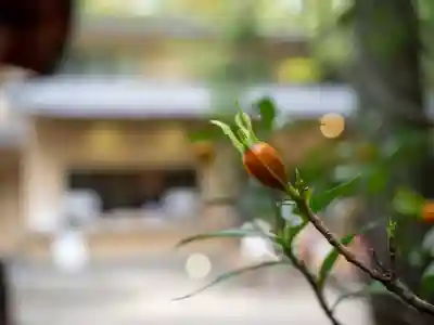 赤坂氷川神社(東京都)