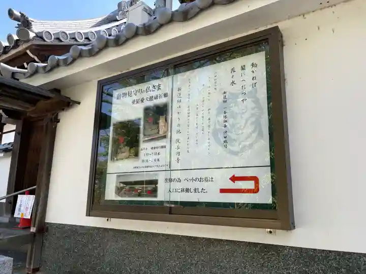 長円寺の{uncategorized: "未分類", other: "その他", undefined: "問題あり", building: "その他建物", grave: "お墓", sacred_gate: "鳥居", guardian: "狛犬", statue: "像", buddha: "仏像", history: "歴史", nature: "自然", garden: "庭園", animal: "動物", pagoda: "塔", temizu: "手水舎", mountain_gate: "山門・神門", sanctuary: "本殿・本堂", subordinate: "末社・摂社", art: "芸術", scenery: "景色", jizo: "地蔵", ema: "絵馬", goshuin: "御朱印", omikuji: "おみくじ", items: "授与品その他", amulet: "お守り", goshuincho: "御朱印帳", eats: "食事", festival: "お祭り", votive_dance: "神楽", shichigosan: "七五三参", wedding: "結婚式", experience: "体験その他", initially: "初詣", around: "周辺", anti_infection: "感染症対策"}