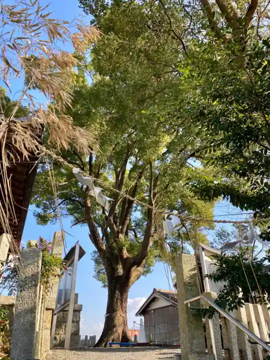 玉田神社の自然