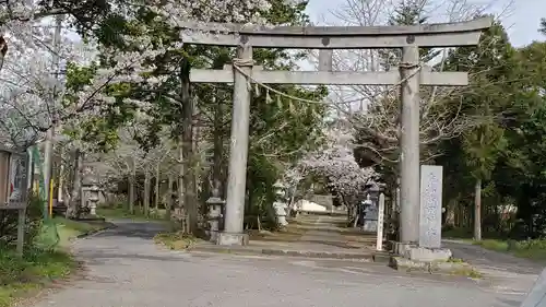 鹿嶋吉田神社の鳥居