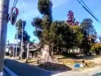 三十八所社のその他建物