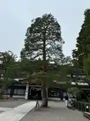 櫻山八幡宮(岐阜県)