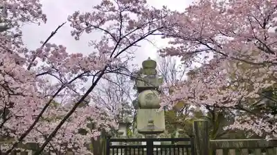 新日吉神宮のその他建物