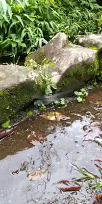 深大寺(東京都)