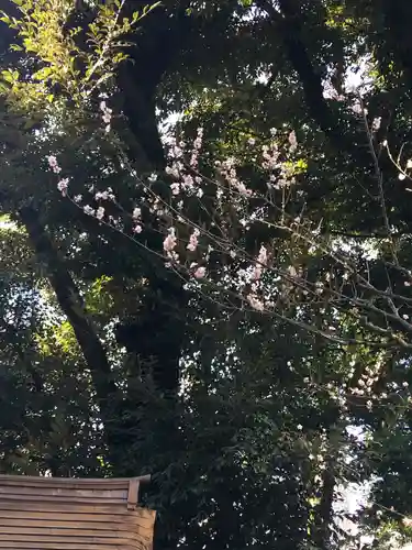 愛宕神社の自然