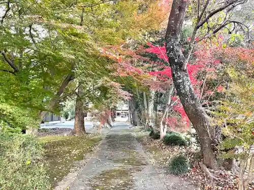 天神神社(滋賀県)