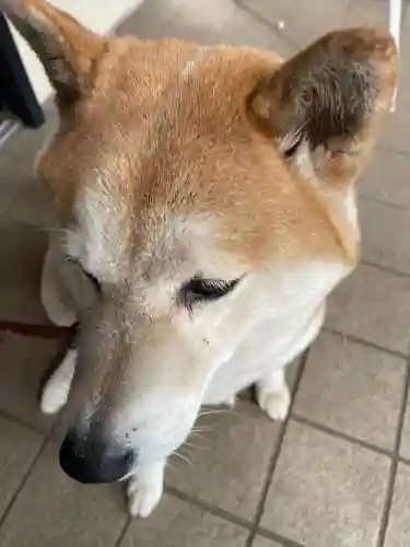 笠䅣稲荷神社(神奈川県)
