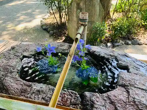 阿智神社の手水