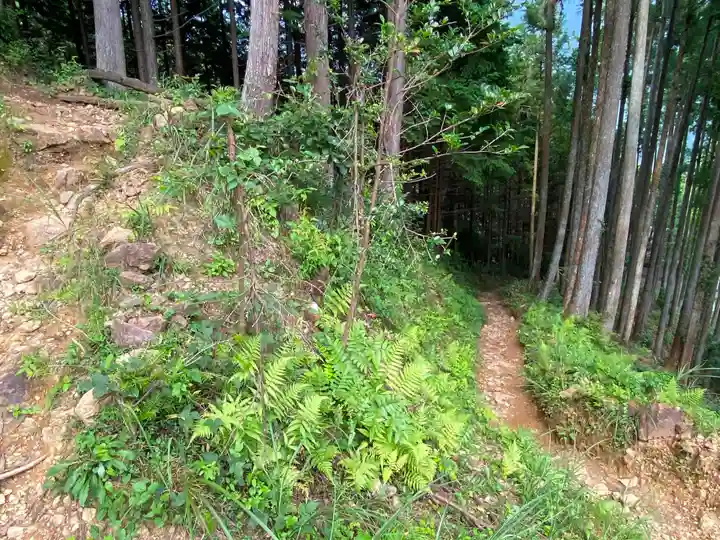羽黒三田神社の周辺