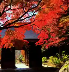 普門寺(切り絵御朱印発祥の寺)(愛知県)