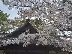 和泉國一之宮　大鳥大社(大阪府)