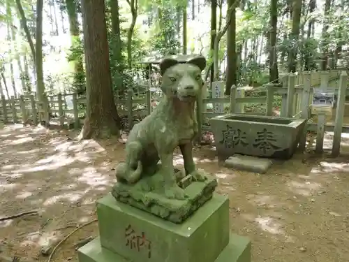 宝登山神社の狛犬