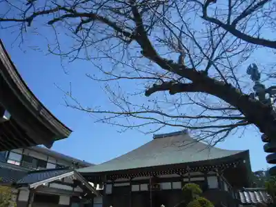 妙長寺のその他建物