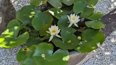 長興院(京都府)