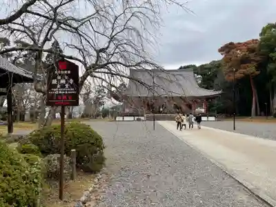 醍醐寺(京都府)
