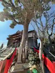 浅香山稲荷神社の自然