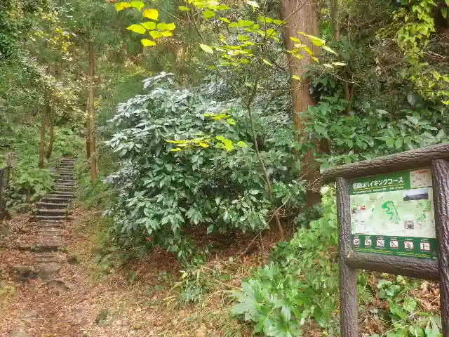 東勝寺跡の自然