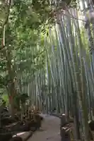 報国寺(神奈川県)