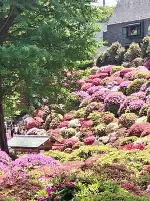 根津神社(東京都)