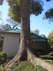 小園子之社(神奈川県)