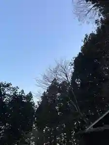 大宮温泉神社(栃木県)(2023年12月23日(土) 16時03分27秒投稿)