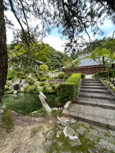 妙感寺の建物その他