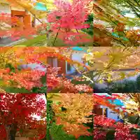 寿量山 速成寺の自然