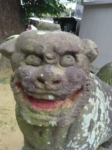 本行徳神明社（神明宮）(千葉県)