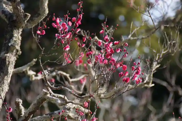 長岡天満宮(京都府)