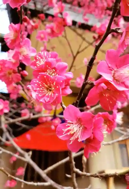 東郷神社(東京都)