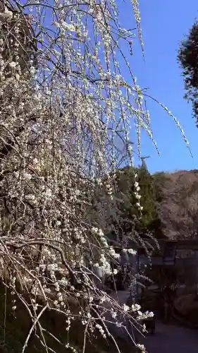 大縣神社の{uncategorized: "未分類", other: "その他", undefined: "問題あり", building: "その他建物", grave: "お墓", sacred_gate: "鳥居", guardian: "狛犬", statue: "像", buddha: "仏像", history: "歴史", nature: "自然", garden: "庭園", animal: "動物", pagoda: "塔", temizu: "手水舎", mountain_gate: "山門・神門", sanctuary: "本殿・本堂", subordinate: "末社・摂社", art: "芸術", scenery: "景色", jizo: "地蔵", ema: "絵馬", goshuin: "御朱印", omikuji: "おみくじ", items: "授与品その他", amulet: "お守り", goshuincho: "御朱印帳", eats: "食事", festival: "お祭り", votive_dance: "神楽", shichigosan: "七五三参", wedding: "結婚式", experience: "体験その他", initially: "初詣", around: "周辺", anti_infection: "感染症対策"}
