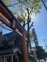 共栄稲荷神社(北海道)