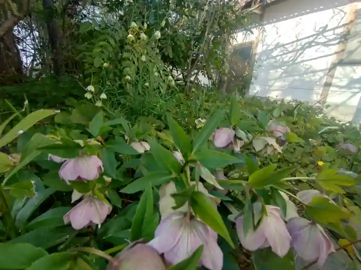 子安地蔵寺の{uncategorized: "未分類", other: "その他", undefined: "問題あり", building: "その他建物", grave: "お墓", sacred_gate: "鳥居", guardian: "狛犬", statue: "像", buddha: "仏像", history: "歴史", nature: "自然", garden: "庭園", animal: "動物", pagoda: "塔", temizu: "手水舎", mountain_gate: "山門・神門", sanctuary: "本殿・本堂", subordinate: "末社・摂社", art: "芸術", scenery: "景色", jizo: "地蔵", ema: "絵馬", goshuin: "御朱印", omikuji: "おみくじ", items: "授与品その他", amulet: "お守り", goshuincho: "御朱印帳", eats: "食事", festival: "お祭り", votive_dance: "神楽", shichigosan: "七五三参", wedding: "結婚式", experience: "体験その他", initially: "初詣", around: "周辺", anti_infection: "感染症対策"}