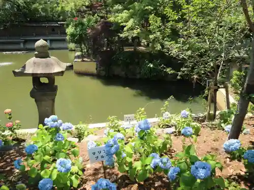 生田神社の庭園