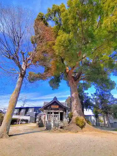 津島社（天王町）の自然
