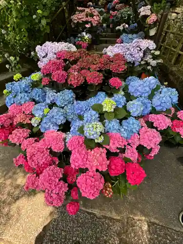 長谷寺(奈良県)