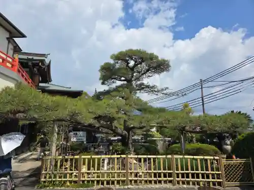 門戸厄神東光寺(兵庫県)