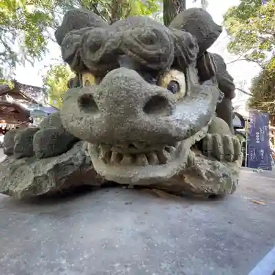 田無神社の狛犬