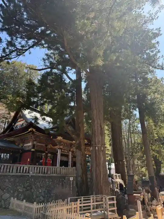 三峯神社の{uncategorized: "未分類", other: "その他", undefined: "問題あり", building: "その他建物", grave: "お墓", sacred_gate: "鳥居", guardian: "狛犬", statue: "像", buddha: "仏像", history: "歴史", nature: "自然", garden: "庭園", animal: "動物", pagoda: "塔", temizu: "手水舎", mountain_gate: "山門・神門", sanctuary: "本殿・本堂", subordinate: "末社・摂社", art: "芸術", scenery: "景色", jizo: "地蔵", ema: "絵馬", goshuin: "御朱印", omikuji: "おみくじ", items: "授与品その他", amulet: "お守り", goshuincho: "御朱印帳", eats: "食事", festival: "お祭り", votive_dance: "神楽", shichigosan: "七五三参", wedding: "結婚式", experience: "体験その他", initially: "初詣", around: "周辺", anti_infection: "感染症対策"}