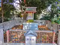 秋葉神社(梨子ノ木)の本殿・本堂