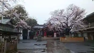 旗岡八幡神社(東京都)