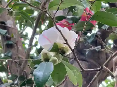 浄得寺(三重県)