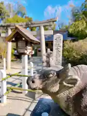 和泉國一之宮　大鳥大社の狛犬