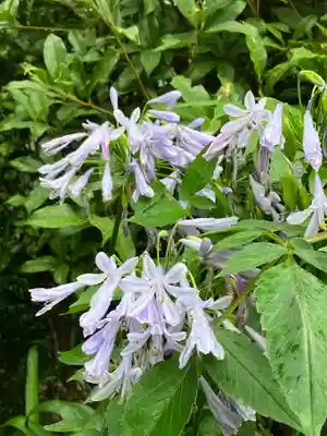 水堂須佐男神社(兵庫県)