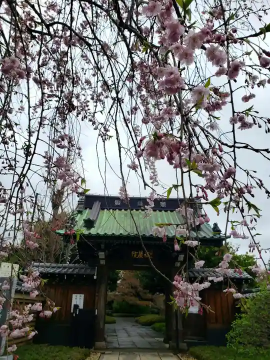 福蔵院(東京都)