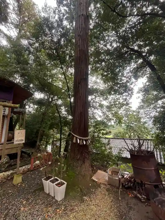 吉川八幡神社(大阪府)