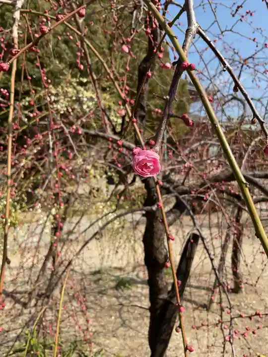 真宗大谷派名古屋別院(愛知県)