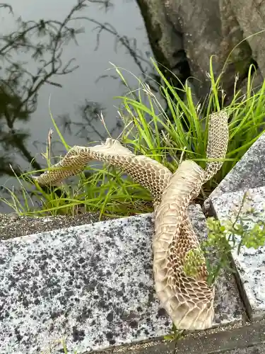 吉備津彦神社(岡山県)