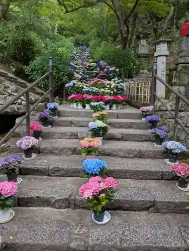 長谷寺(奈良県)