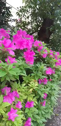 秋葉神社(東京都)